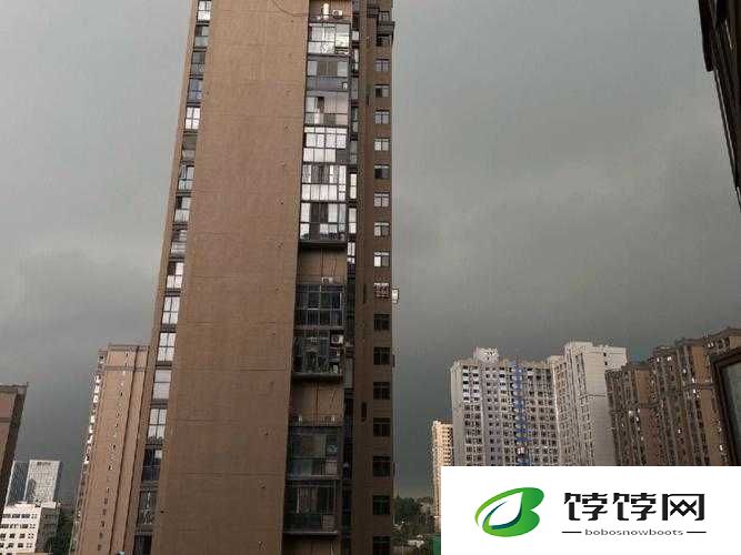 出差遇到暴风雨-属下 850 与我同行