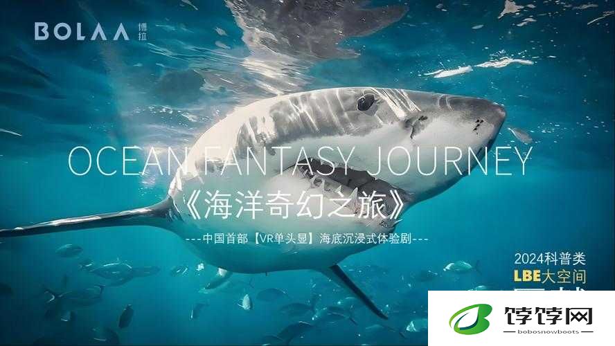 已满 18 岁已带好卫生纸怎么办：背后的秘密与应对策略