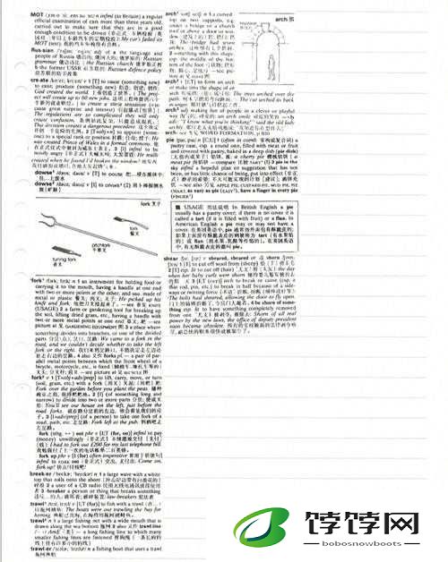 事卜卜辽卜卜叉叉叉卜书才卜：探寻神秘字符背后的真相