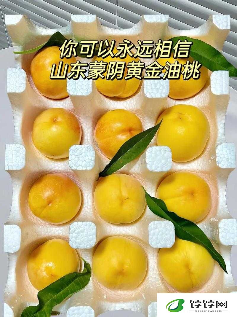 蒙阴蜜桃：成为夏日甜蜜爆款的秘诀