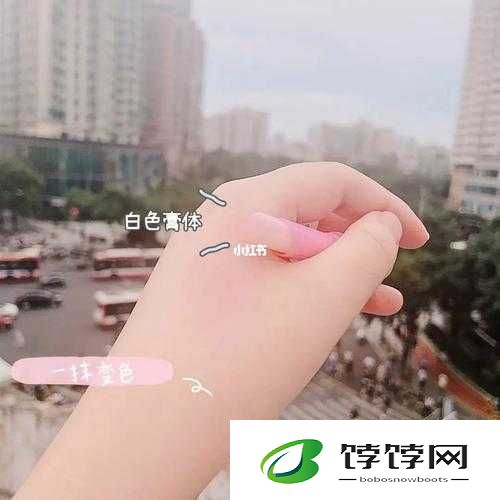 蜜丝婷大草莓和小草莓对比：美妆界的新宠与经典之争
