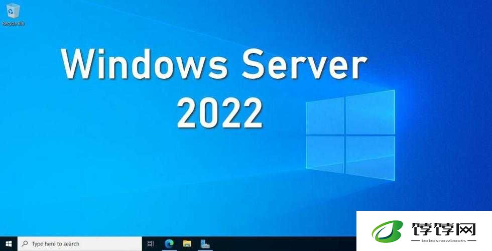 日本WINDOWSSERVER：引领技术变革的关键力量