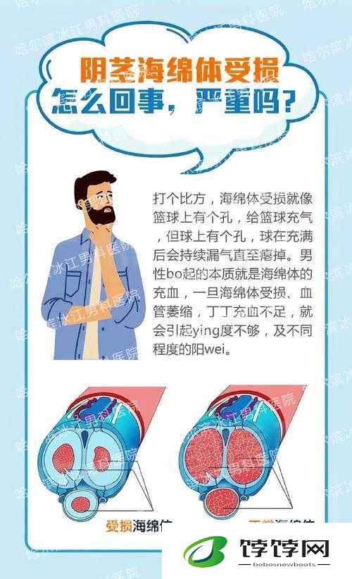 用手过度的海绵体受损怎么恢复：探索男性健康的关键问题