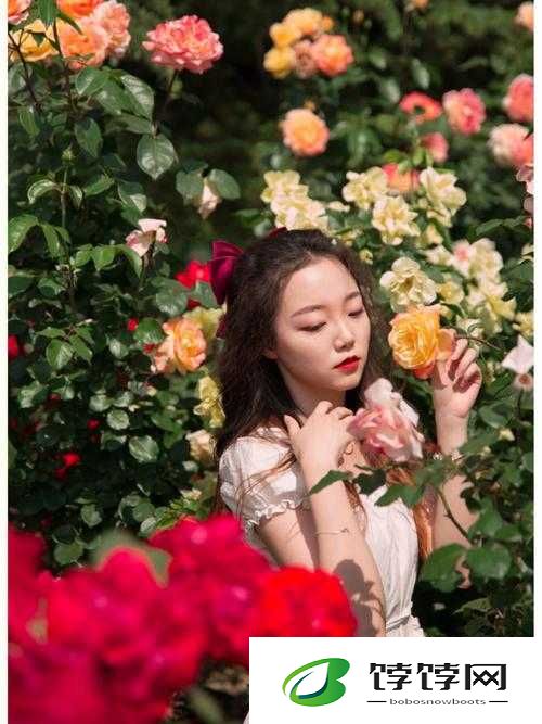 头埋在我花丛里：探索隐秘的芬芳世界