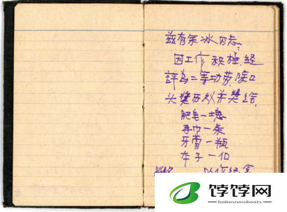 游荡的生活日记：记录别样人生轨迹