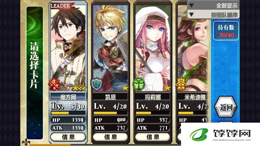 《帕雪露：锁链战记中的司祭骑士之光》