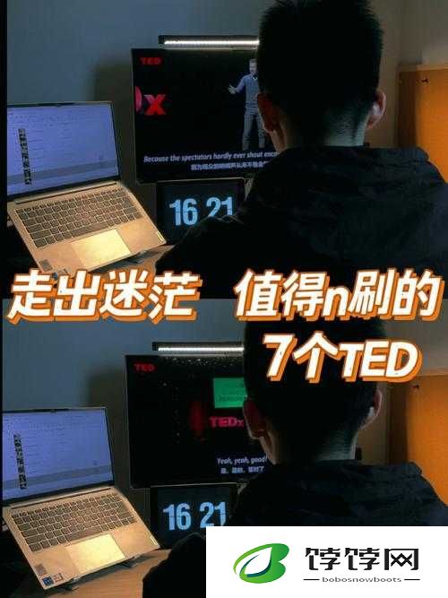 幸福密码 6m8858：探寻幸福的神秘数字之旅