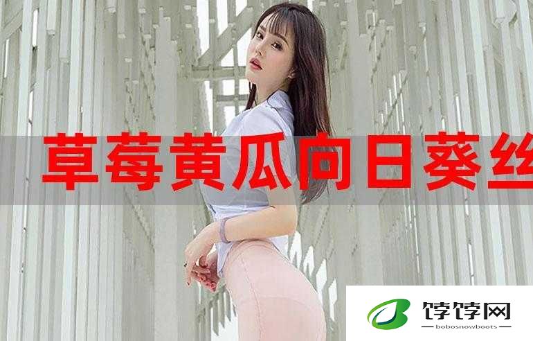 草莓向日葵黄瓜丝瓜汅的奇妙组合