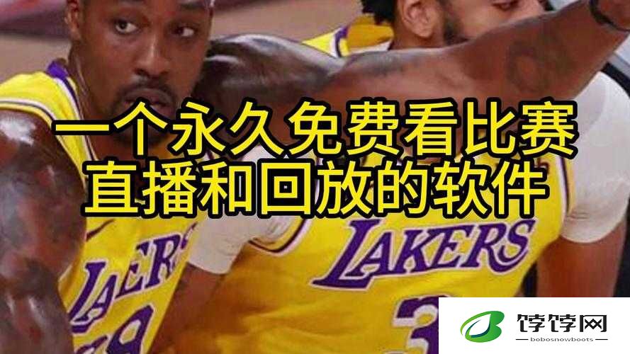 免费观看nba高清直播咆哮视频：为何它如此令人疯狂
