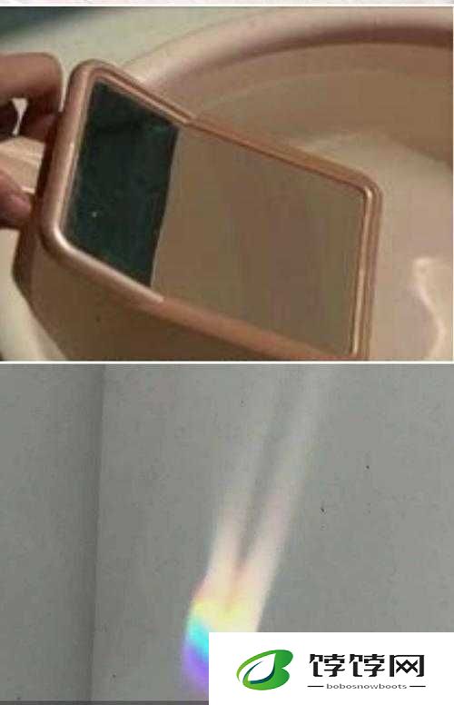 看镜子里我们的结合的地方科学之探究