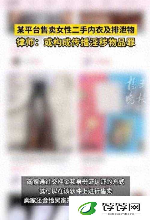 网曝黑料入门：揭秘网络黑料传播的秘密