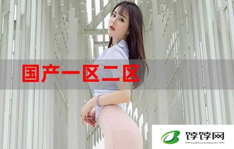 国产精品一区二区在线观看：优质影视随时享