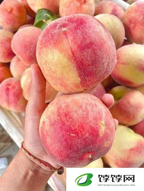 巨无霸水蜜桃 4439：甜蜜多汁的果中珍品