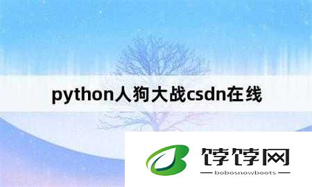 Python 人狗大战 CSDN：一场精彩的技术较量