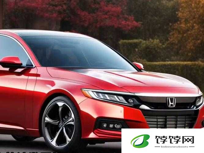 b 站 2024 永不收费入口：全新体验等你