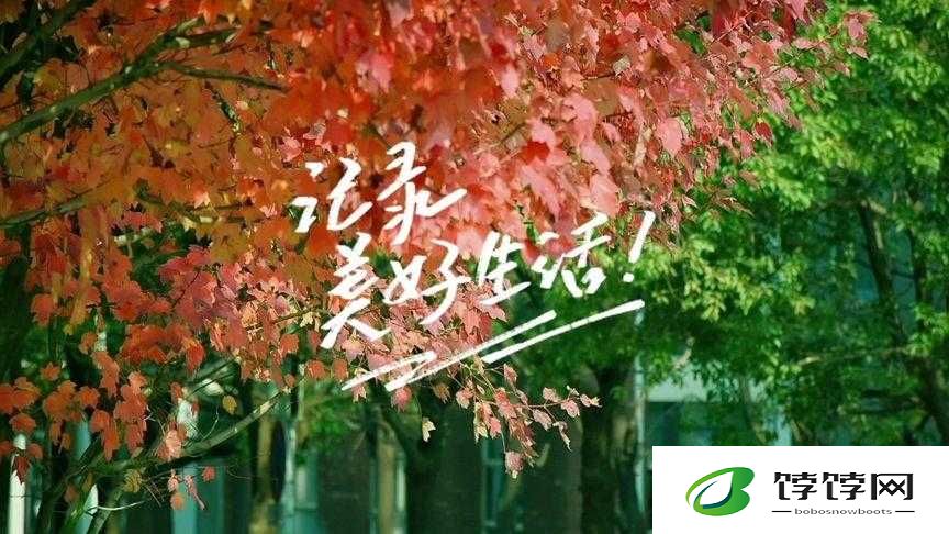 用短视频制作，轻松记录美好瞬间