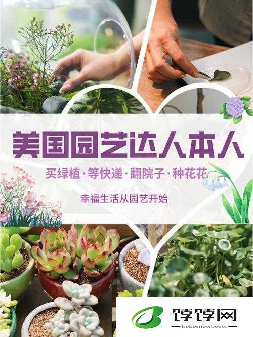 小花园想夹东西怎么办：成为园艺达人的必备秘籍