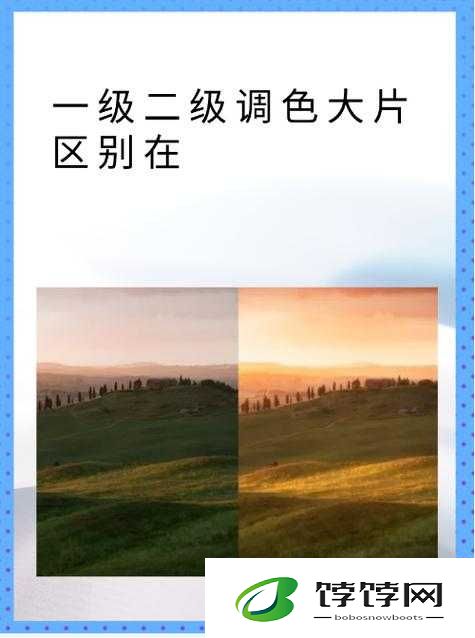 PS 一级二级调色大片区别在哪儿：调色秘籍大揭秘