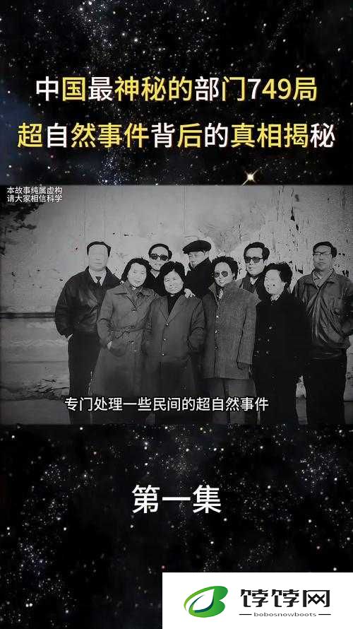 含苞待放周延镇莹莹谜：神秘背后的真相大揭秘