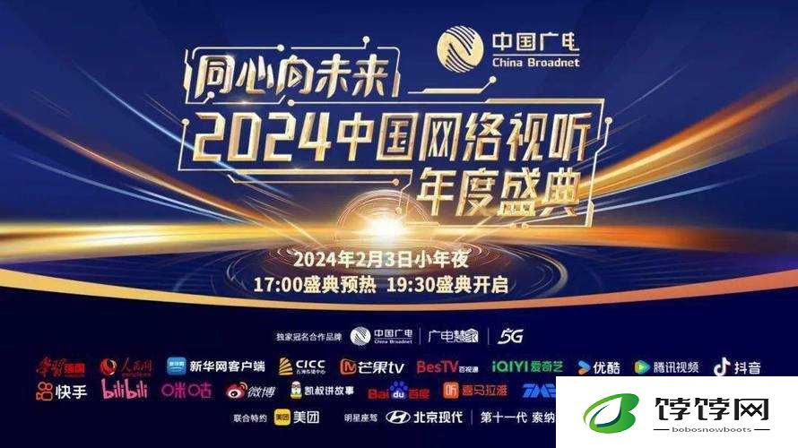 2024b 站永不收费：掀起视频平台新潮流