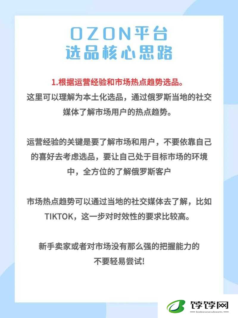俄罗斯 ozon 选品：成功秘诀与实战策略