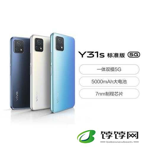 一级成色好的 y31s 标准版全方位评测之深度解析