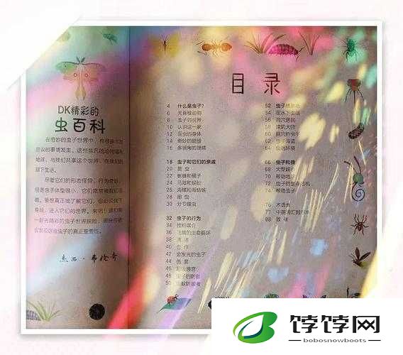 授课方式 by 清欢：探索知识的奇妙之旅