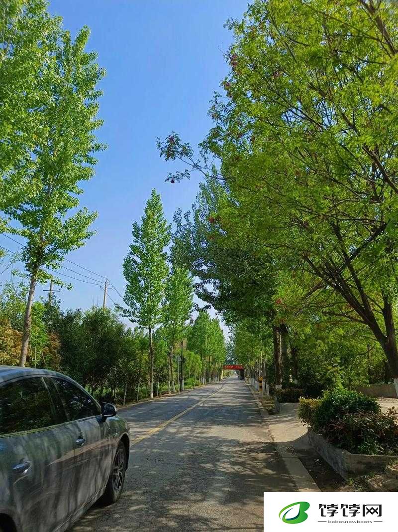 汤芳阴沟：震惊这是你所不知道的角落