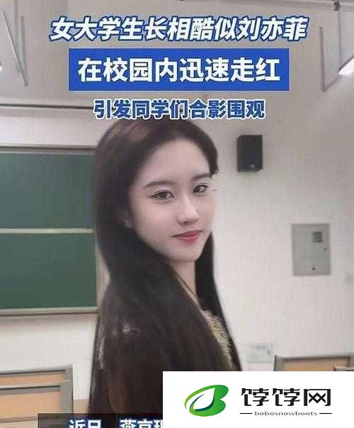 男生与女生一起错错错骂你画：引发全网热议的情感冲突