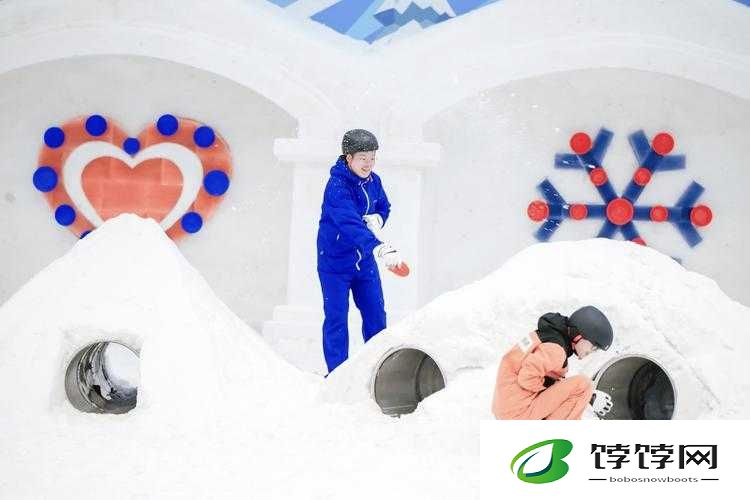 两个雪球在晃动：一场奇幻的冰雪冒险