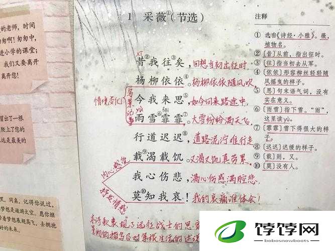 采薇与家公全文免费阅读：热门文学作品的魅力探索