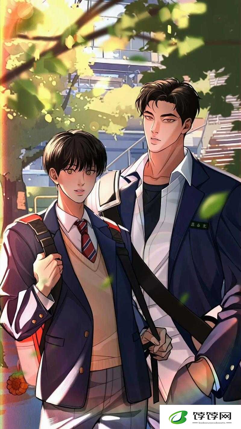 双男主：携手共进的热血征程