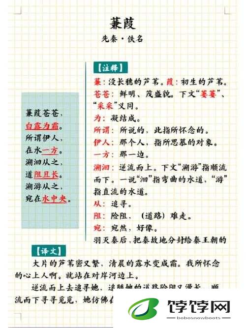 影之诗虹卡厄言使蒹葭图鉴 随从法最终铺场关键详细解析