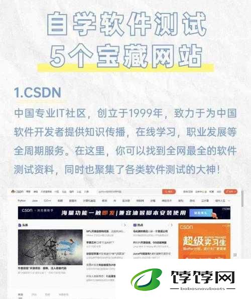 9.1 人网站特色软件相关内容探讨