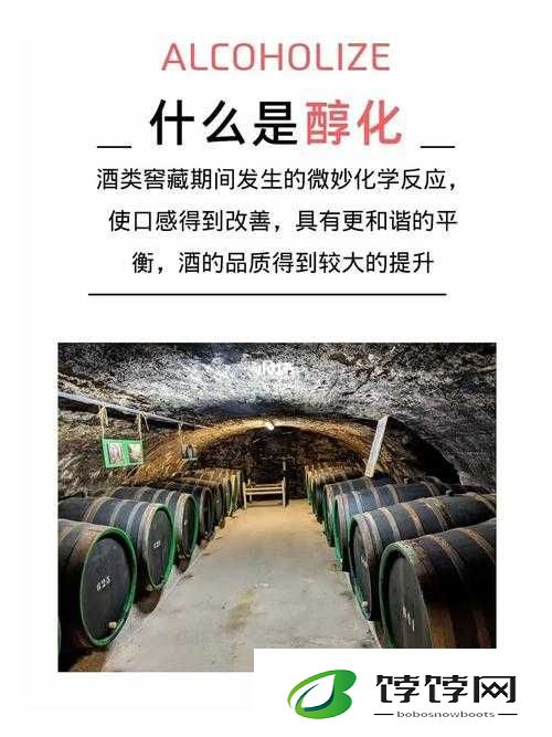 解忧小村落酒品价格概览与酒类收益共享之道：探寻盈利与品质平衡之旅