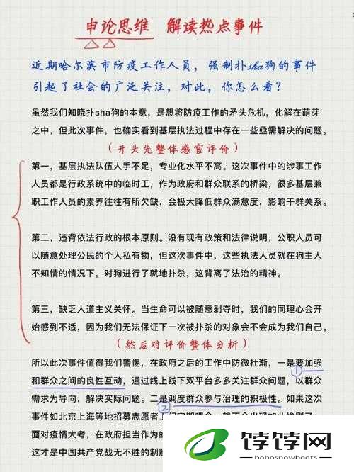 在美国未满十八岁能上大学吗：惊爆热点背后的教育真相