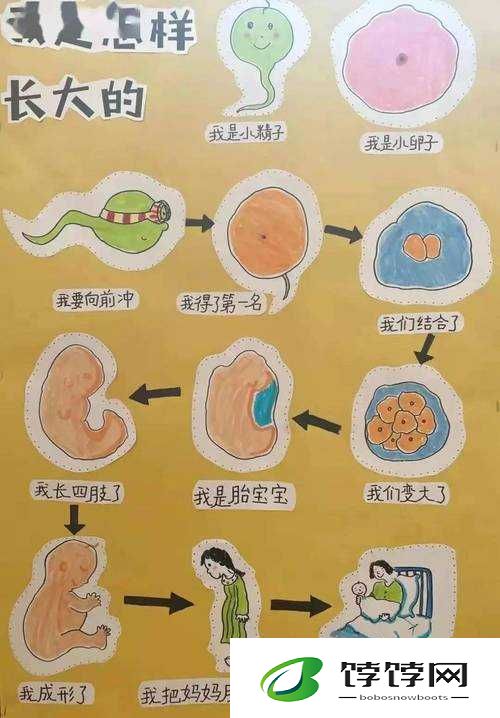 Aaa 一级二级三级怎么分的英语：探秘等级划分背后的奥秘