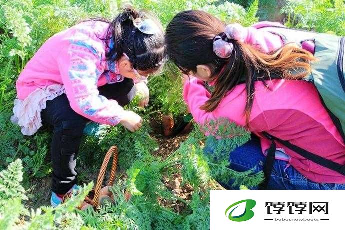 女孩子怎么体验拔萝卜的感觉：实践出真知