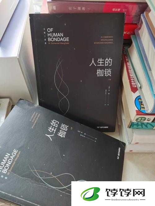 日本三十一岁上大学正常吗：打破年龄枷锁追求梦想