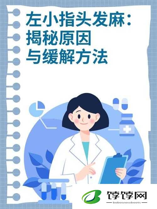 新手找不到入口准确位置：揭秘背后的原因与解决之道