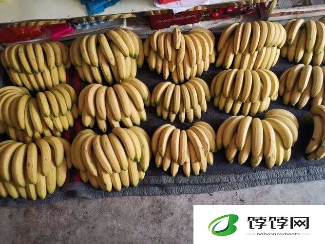 警告本网站香蕉：请勿违规操作