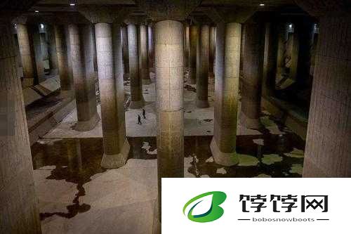 探秘日本：下水好多下水道的奇妙之旅