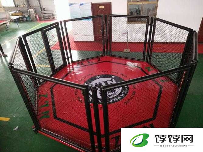 蛋仔擂台赛新地图八角笼斗毛线双身介绍，快来体验全新玩法