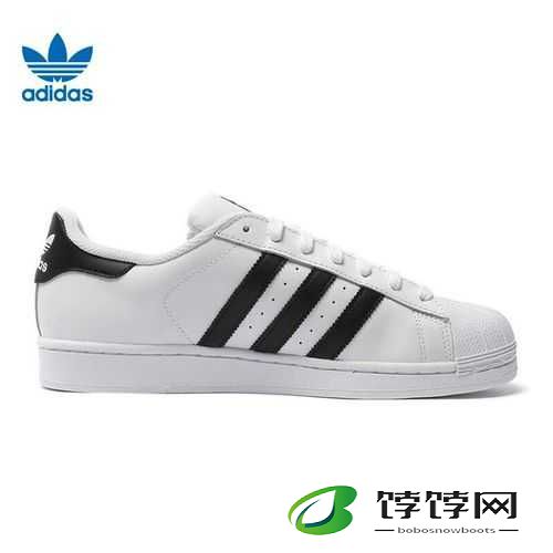 三叶草 gy8566 的独特魅力