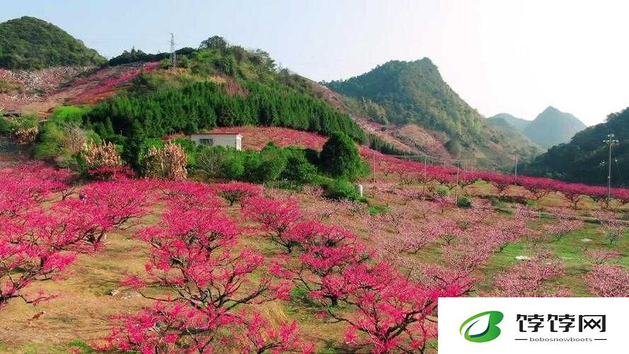 桃花深处水潺潺：探秘那片世外桃源的神秘魅力