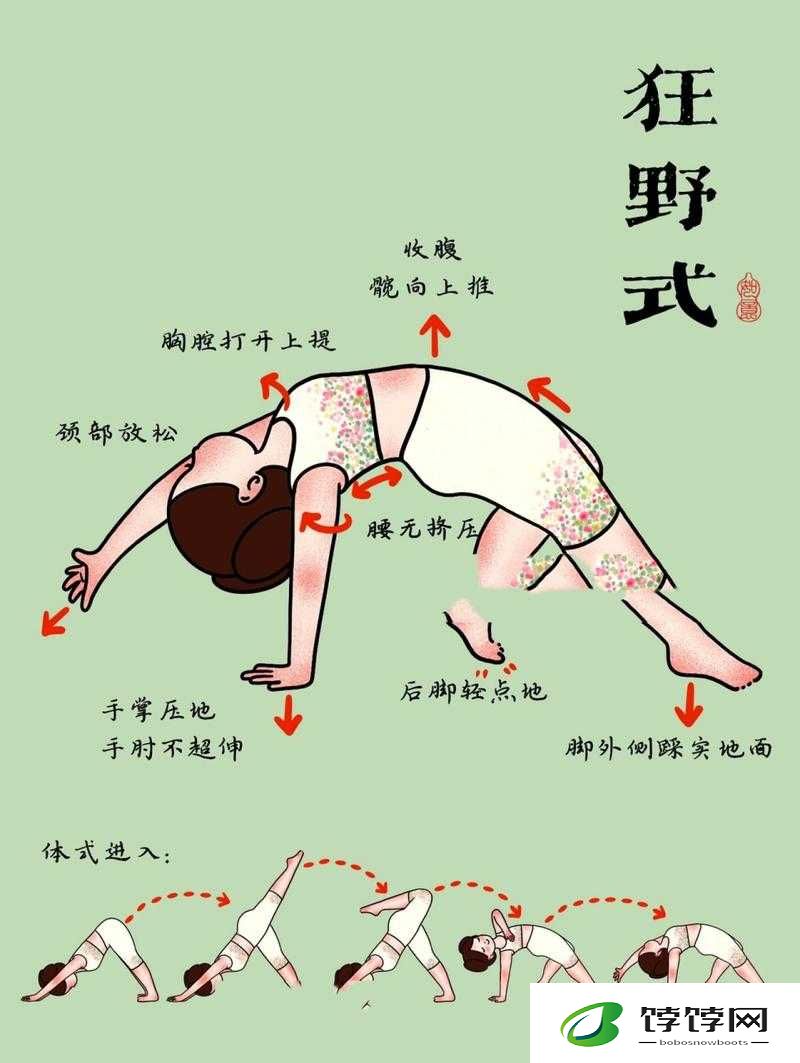两种进入狂野式的方法有哪些：燃爆健身圈的秘密武器