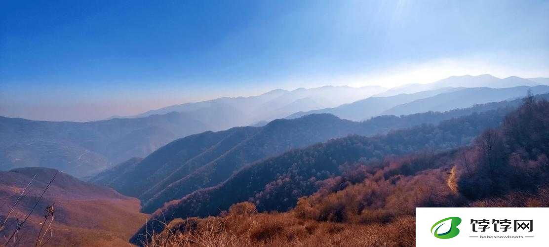 手不安分探入森林免费阅读：探索森林的别样之旅