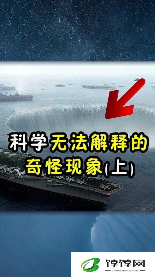 鱿鱼b25777 直接进入：引发全网热议的神秘现象