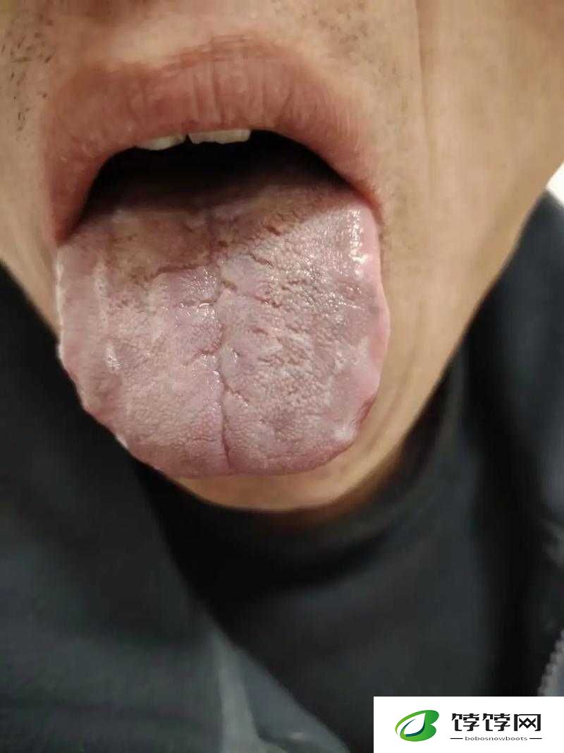 40 岁男人舌头很厉害：揭秘中年男性的口才魅力