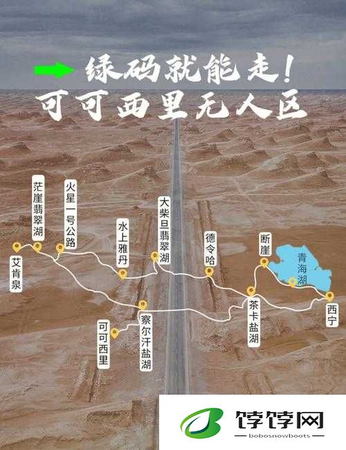 无人区码一码二码三 MBA 智库：探索未知领域的指南